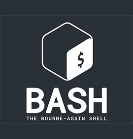 bash