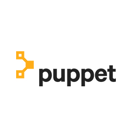 puppet db